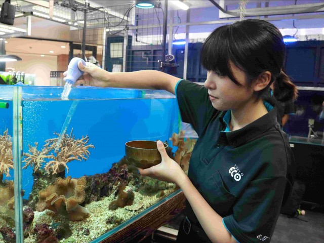 TCA東京ECO動物海洋専門学校