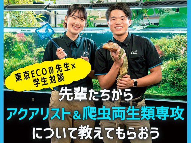 TCA東京ECO動物海洋専門学校の東京ECOの先生×学生対談 先輩たちからアクアリスト&爬虫類両生類専攻を学ぼう